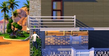 2022 09 15 18 25 17 826 SunflowerSyrupGShade