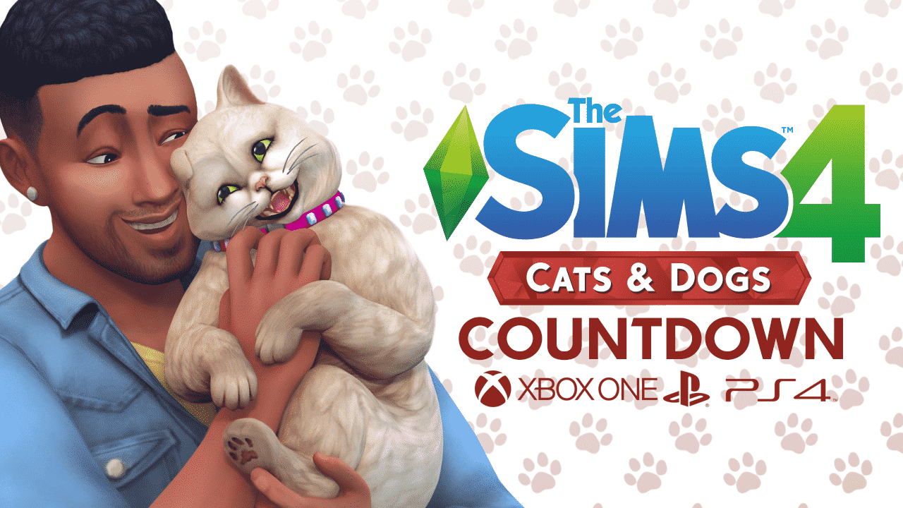 countdowncatsconsole